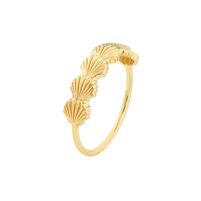 14K Gold Scallop Seashell Ring - WJD Exclusives