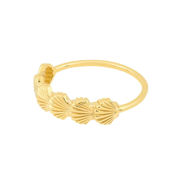 14K Gold Scallop Seashell Ring - WJD Exclusives