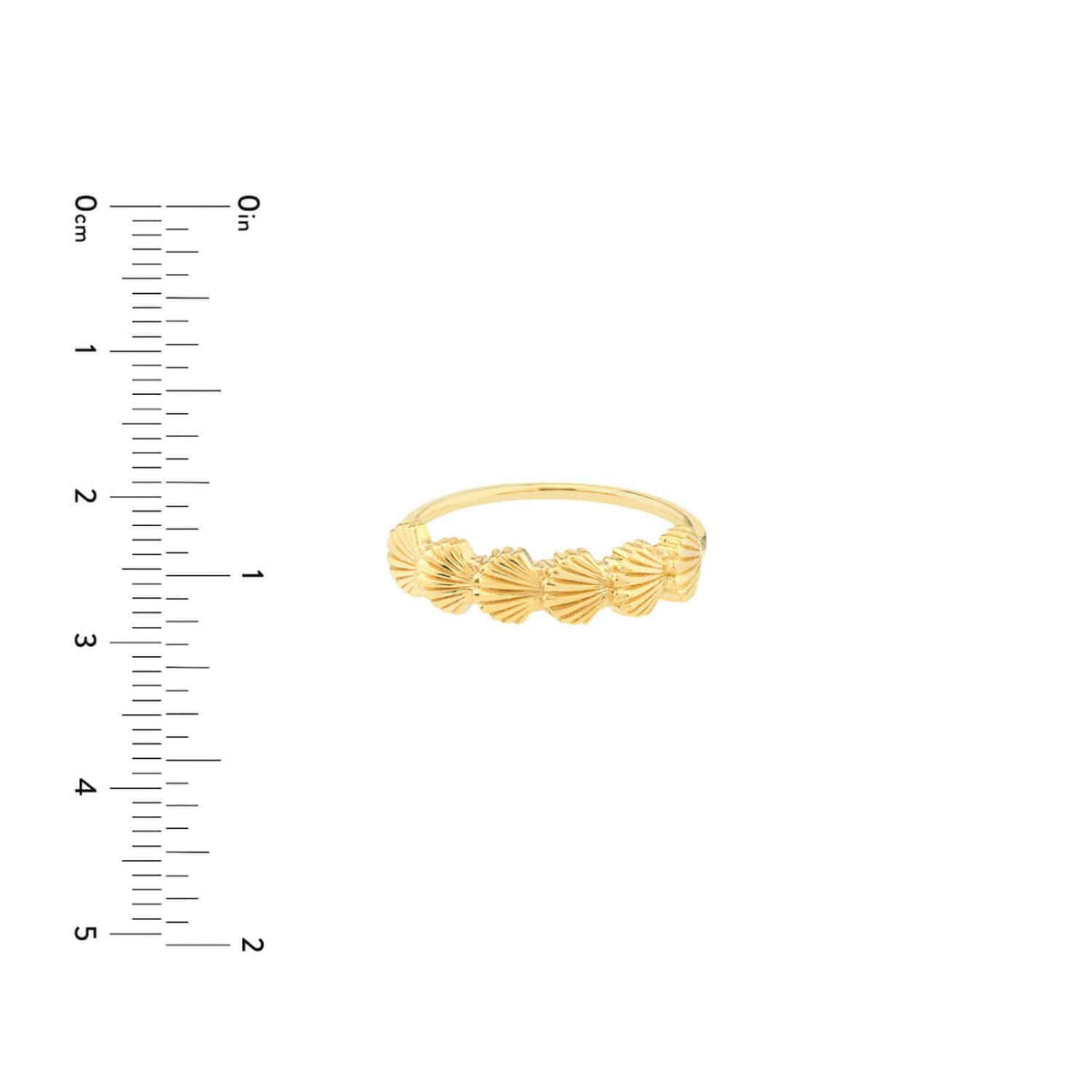 14K Gold Scallop Seashell Ring - WJD Exclusives
