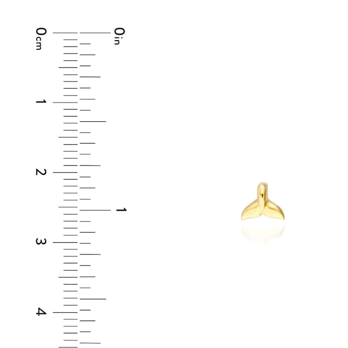 14K Real Gold Whale Tail Small Stud Push Back Earrings 5mm