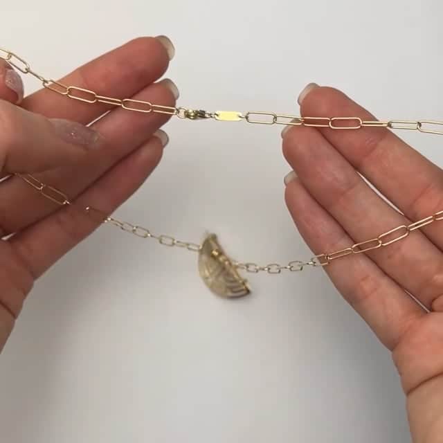 14K Gold Longevity Medallion Pendant on 2mm Paperclip Chain 18" - WJD Exclusives