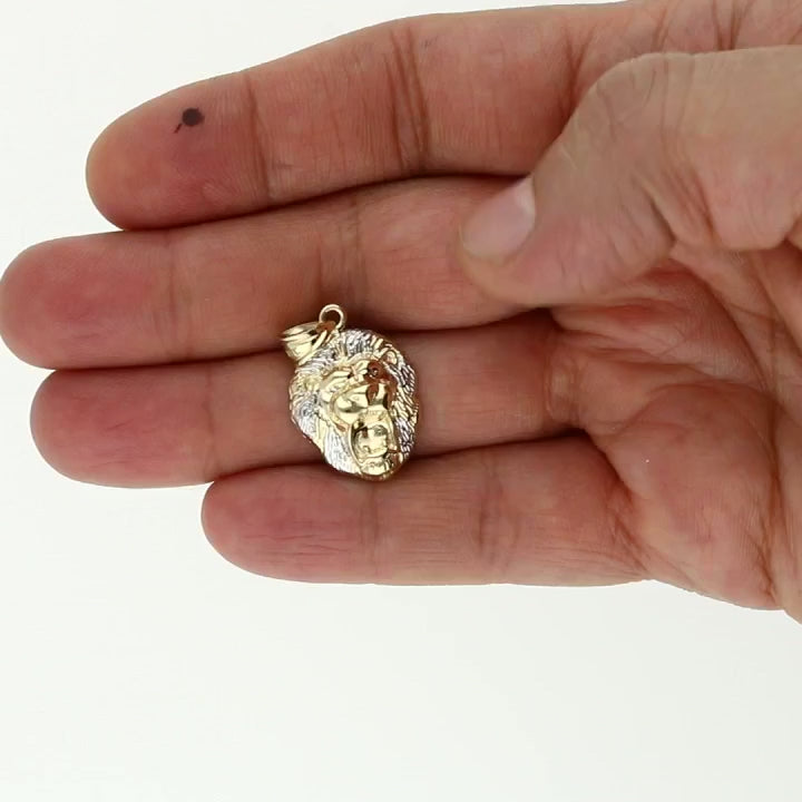 10K Two Tone Gold Diamond-Cut Lion Face Pendant — product video