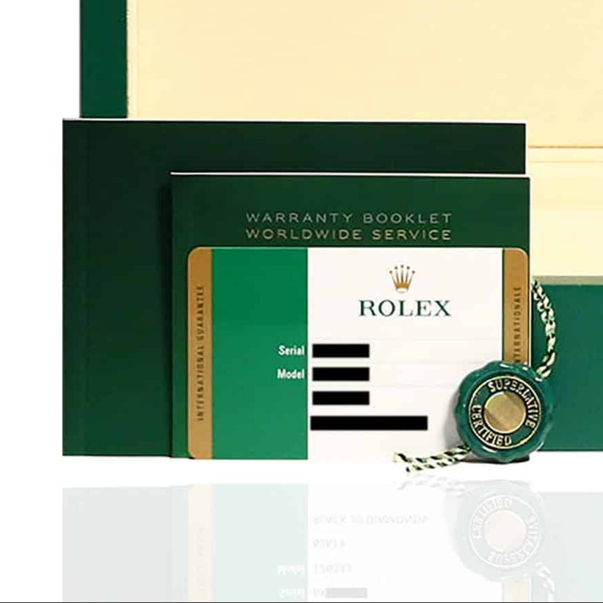 NEW Rolex Datejust 36mm 126234 Stainless Steel Men's Watch